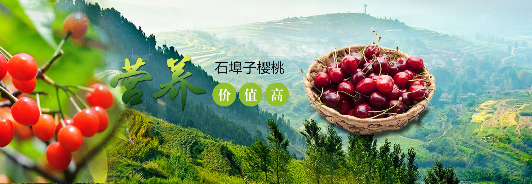 pg电子游戏平台